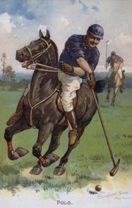 Polo (litografia a colori) da American School