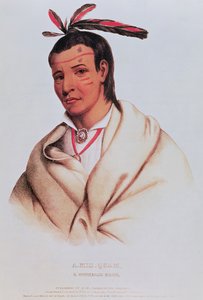 Ritratto di A-Mis-Quam, un coraggioso winnebago