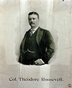 Ritratto del colonnello Theodore Roosevelt da American School
