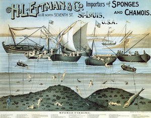 Poster pubblicitario di H.L. Ettman & Co., Importatori di spugne e camosci, 1897