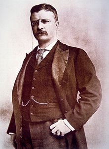 Il presidente Theodore Roosevelt (litografia)