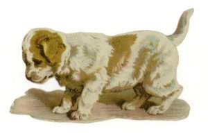 Cucciolo in piedi
