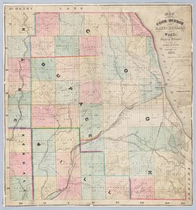 Mappa di Rees delle contee di Cook e DuPage da American School