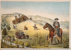 Rappresentazione della vita in un campo di bovini da American School