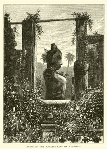 Rovine dell
