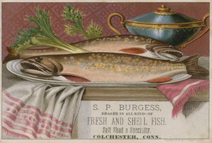 S P Burgess, carta commerciale da American School
