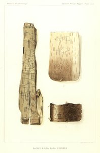 Registri Sacri di Corteccia di Betulla da American School