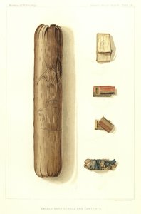 Rotolo di corteccia sacra e contenuti
