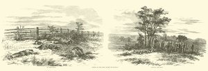 Scene sul campo dopo la battaglia, settembre 1862