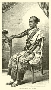 Signora siamese di rango