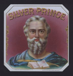 Silver Prince da American School