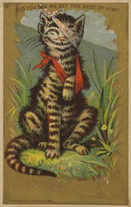 Gatto con ferite che sorride da American School