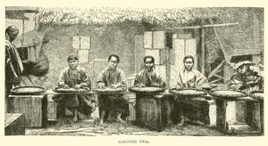 Smistamento del tè da American School