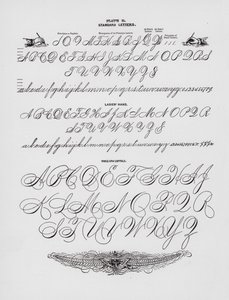 Lettere Standard; Mano delle Signore; Lettere Maiuscole (incisione) da American School