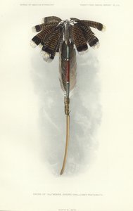 Spada di Thlewekwe (confraternita degli spadaccini) (litografia a colori) da American School