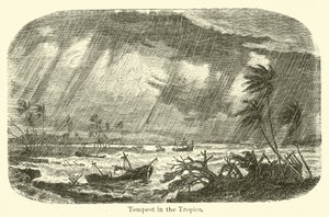 Tempesta nei tropici da American School
