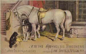 Cavallo legato con cane da pastore da American School