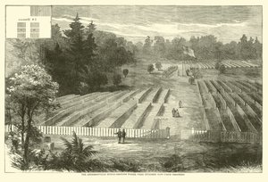 Il cimitero di Andersonville dove furono sepolti 14.000 prigionieri dell