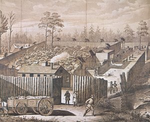 Il campo di prigionia di Andersonville da American School