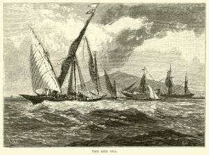 Il Mar Rosso da American School