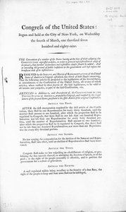 La Carta dei Diritti degli Stati Uniti, completata nel 1789