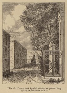 I vecchi cimiteri francesi e spagnoli presentano lunghe strade di muri cementati (incisione) da American School