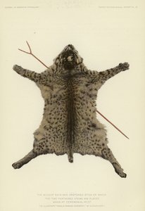 La pelle di gatto selvatico e il bastone a forma di croce su cui si poggiano i due steli piumati durante il riposo cerimoniale (litografia a colori) da American School
