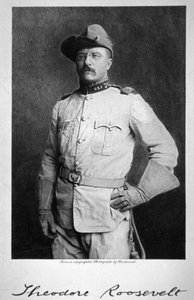 Theodore Roosevelt da American School