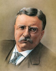 Theodore Roosevelt da American School
