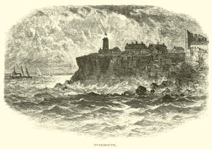 Tynemouth da American School