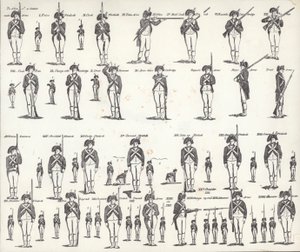 Manuale delle armi degli Stati Uniti