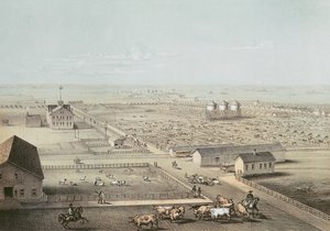 Union Stockyards, Chicago da American School