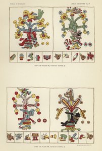 Codice Vaticano da American School