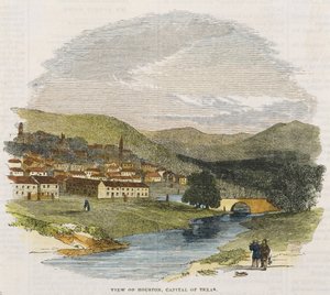 Veduta di Houston, capitale del Texas, c. 1852 da American School