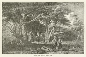 Veduta del Monte Libano