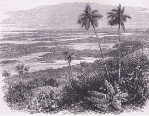 Veduta delle Bermuda, illustrazione da Cassell