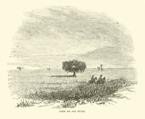 Veduta sul Teche, aprile 1863 da American School
