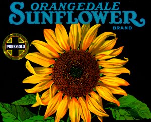 Etichetta vintage per cassette di frutta con girasole da American School