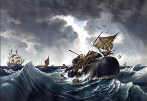 Balena che distrugge una nave baleniera, c.1875 (acquerello su carta)