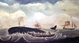 Caccia alla balena nel Pacifico meridionale da American School