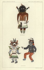 Wukokoti, Kohonino (litografia a colori) da American School