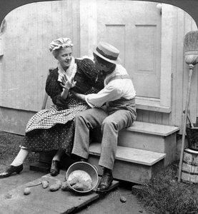 Amore di campagna da American Stereoscopic Company