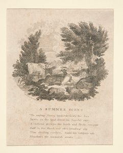 Una scena estiva (con versi)