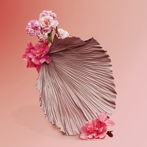  da Ana Carolina Tavares Mizrahi