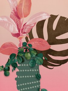 Restano ancora 6 copie