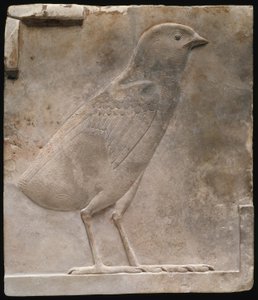 Targa raffigurante un pulcino di quaglia