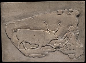 Frammento di muro di una tomba raffigurante un mandriano