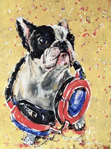 Frenchie con le cuffie
