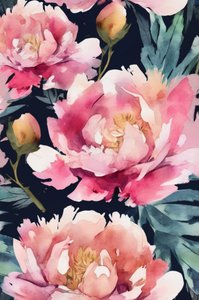Peonie rosa ad acquerello