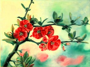 Fiori rossi di primavera